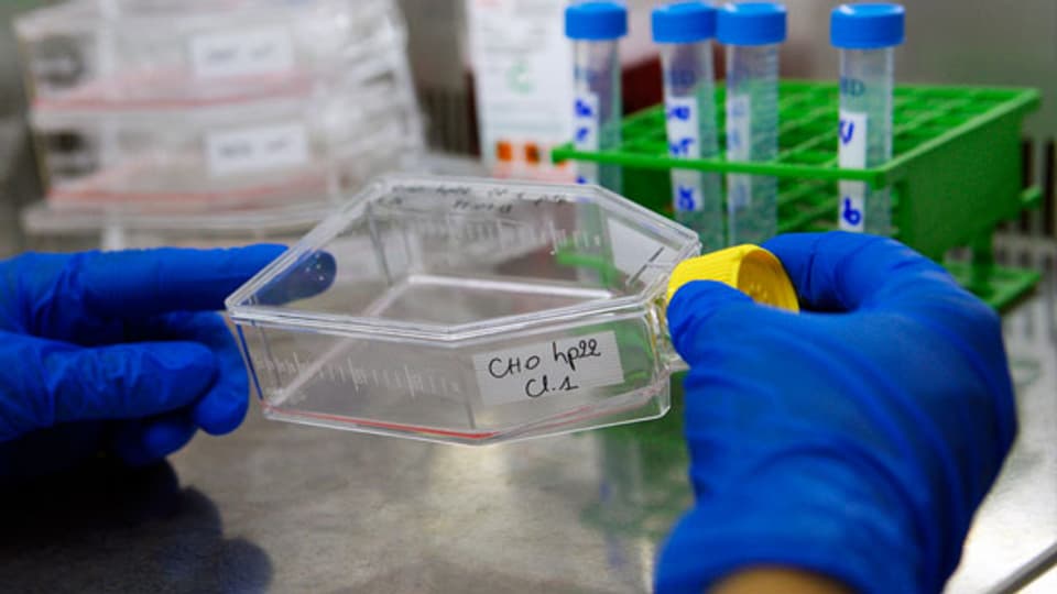 Ein Biotech-Angestellte spaltet Zellen für eine Forschung.