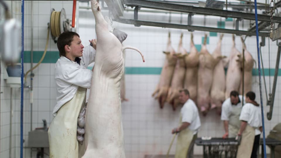 Metzger haben ein Imageproblem - Skandale wie der jüngste um den Fleischhändler Carna Grischa schaden der ganzen Branche.