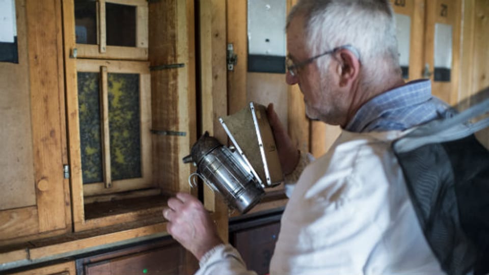 Imker Matthias Schmid behandelt die Winterbienen mit Ameisensäure gegen Milben.