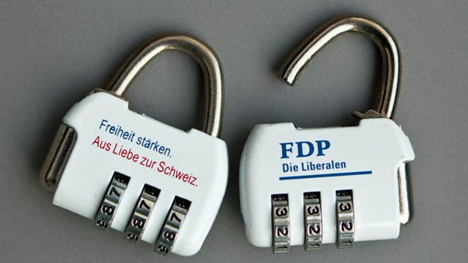 Die FDP: Eine Partei - keine gemeinsame Linie.