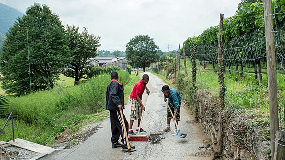 Asylbewerber aus Eritrea arbeiten in Lumino im Tessin im Strassenunterhalt.