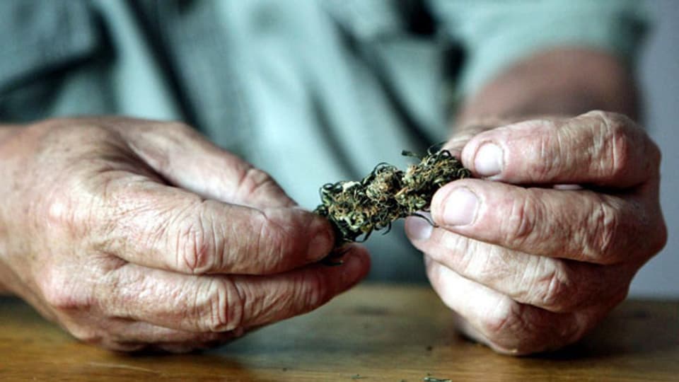 Auch ältere Menschen greifen gerne zu Cannabis.