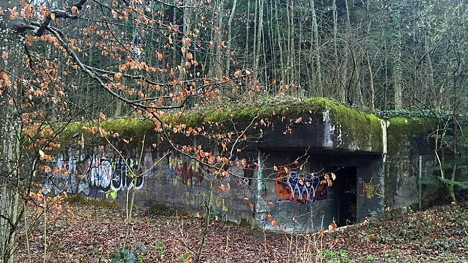Ein moosbedeckter Betonklotz von 20 Metern Länge und zehn Metern Breite: Bunker im Wald auf dem Bruggerberg.