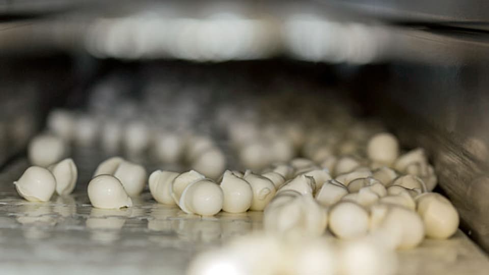 100'000 Tonnen  koscheren Mozzarella produziert die Züger Frischkäse AG in Oberbüren im Jahr für den israelischen Markt.