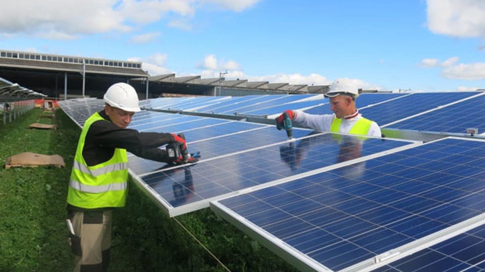 Polnische Arbeiter montieren 23'000 Solarzellen, welche aus China importiert sind.