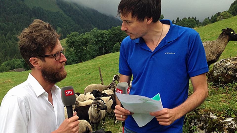 Luciano Marinello und Dominik Meier. Inmitten einer Schafherde sprechen sie über die Tücken des Geschäfts mit Lebensmitteln.