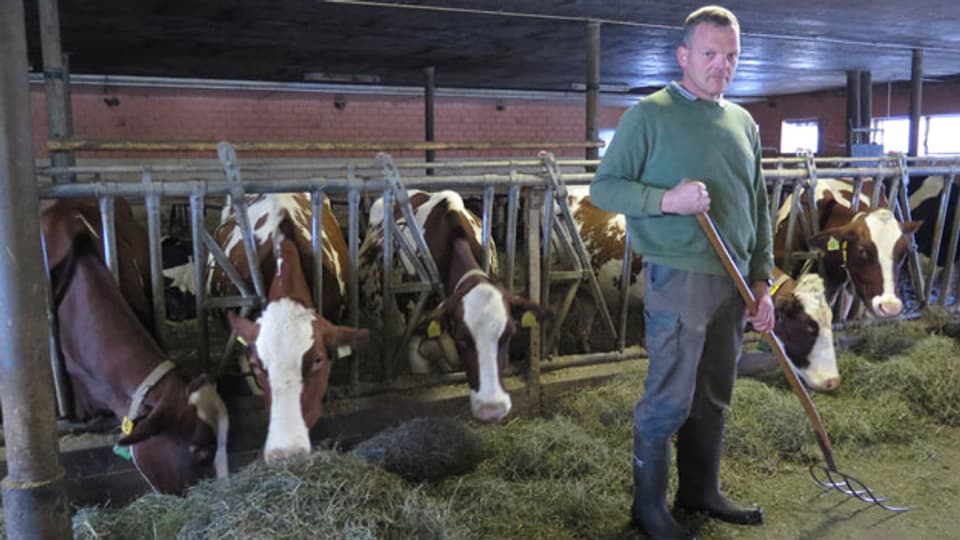 Dank der Viehzucht, seinem zweiten Standbein, schreibt Walter Lüthis Betrieb noch einen kleinen Gewinn.