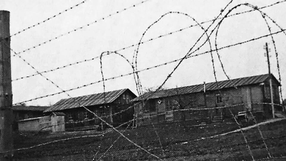 Baracken hinter Stacheldraht: Ein Bild des Straflagers Wauwilermoos aus dem Film «Notlandung».
