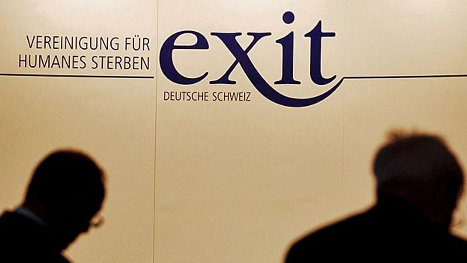 Aktuell sucht Exit weitere personelle Verstärkung auf der Geschäftsstelle - und mehr Platz.