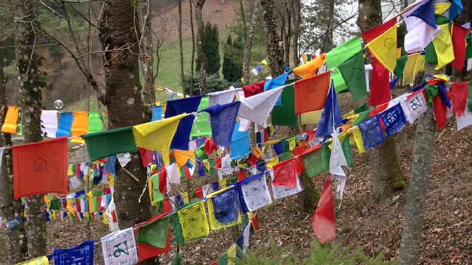 In Rikon im Zürcher Oberland leben etwa 500 Tibeter. Sie kamen als Flüchtlinge in den 60er Jahren. Bild: Tibetische Gebetsfahnen in Rikon.