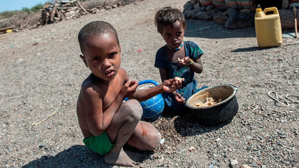 Die Stiftung Menschen für Menschen Schweiz führt im äthiopischen Afar-Gebiet ein Nothilfe-Projekt für unternährte Kinder durch. In Äthiopien herrscht schlimmste Dürre seit 30 Jahren. Um Eine Hungersnot zu vermeiden, brauchen rund Zehn Millionen Menschen akut Nahrungsmittel.