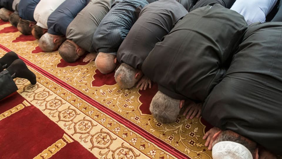 Die Hälfte der befragten Muslime im Erhebungsjahr haben nie einen Gottesdienst besucht.