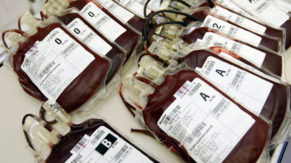 Beutel mit frisch gespendetem Blut beim Blutspendedienst des Schweizerischen Roten Kreuzes SRK in Zürich.