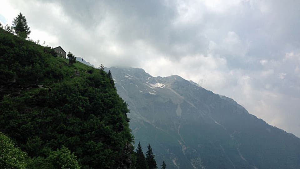 Der Aufstieg vom Val Soi ist nahrhaft – und heikel für die Kühe. Links oben im Bild die Adulahütte.