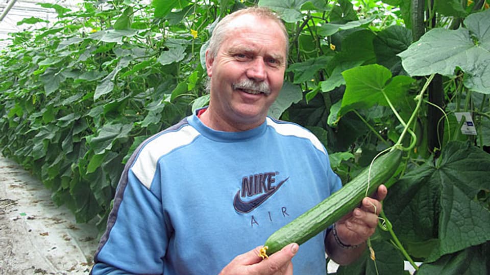 Hors-Sol-Gemüsebauer Thomas Wyssa: «Die Umstellung auf Hors-Sol hat sich gelohnt.»