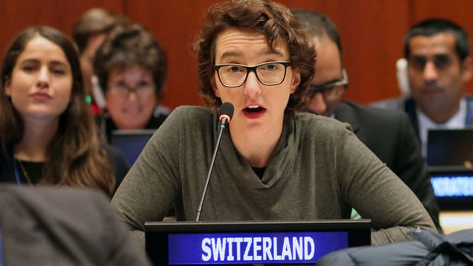 Tatjana von Steiger, Ministerin der Schweiz bei der UNO in New York