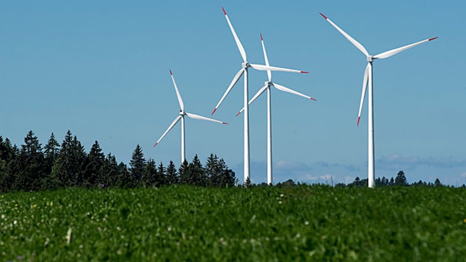 Mit den erneuerbaren Energien geht Lukas Weber hart ins Gericht, das sei alles Problemstrom, meint er.
