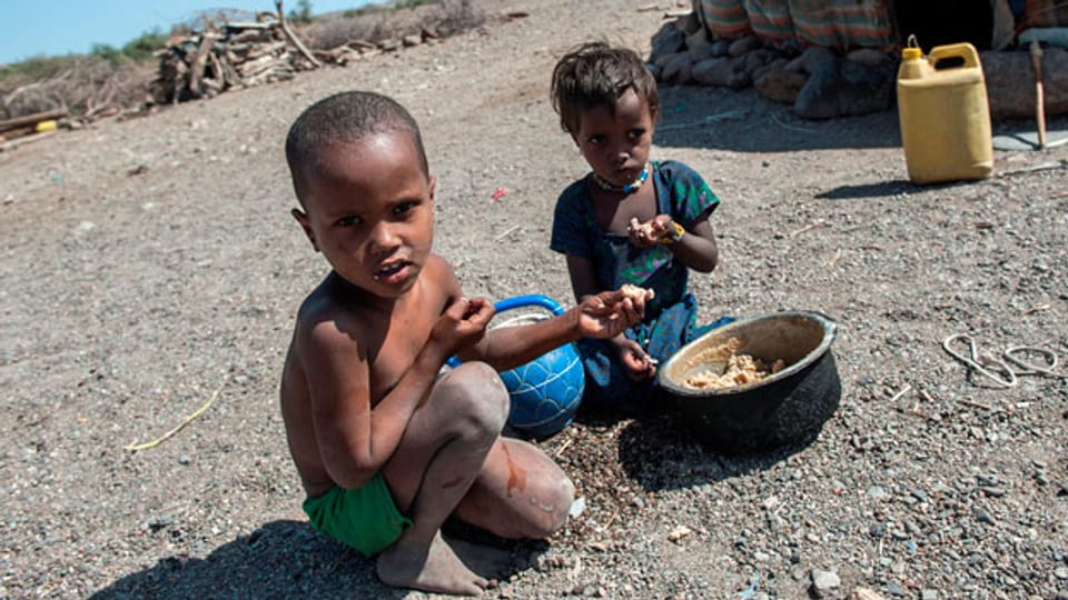 In Äthiopien herrscht die schlimmste Dürre seit 30 Jahren. Um eine Hungersnot zu vermeiden, brauchen rund zehn Millionen Menschen akut Nahrungsmittel.