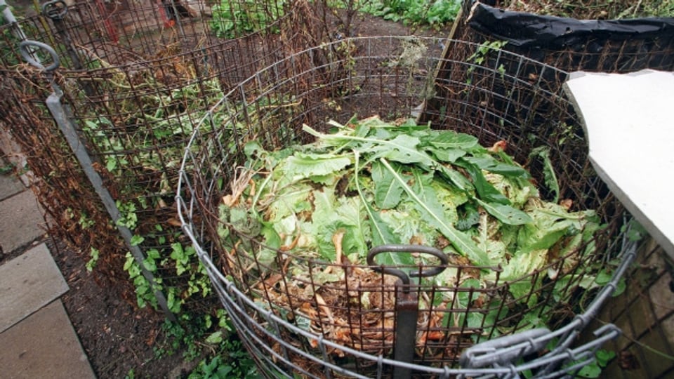 Der eigenen Komposthaufen ist nicht das Problem. Aber wer Grünabfälle der Sammlung mitgibt, muss aufpassen, was er entsorgt.