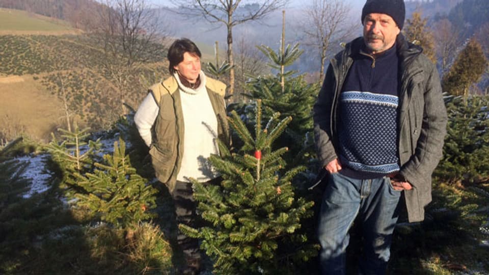 Paul Wälchli und seine Frau Pascale, Tannenbaum-Produzenten aus dem Emmental.