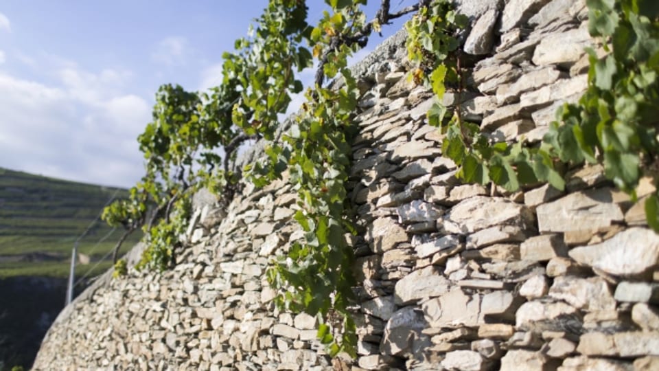 Der «Fonds Landschaft Schweiz» finanziert naturnahe Projekte wie diese Trockenmauer im Wallis.