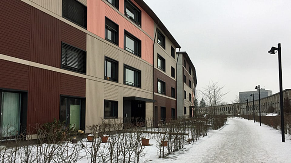 Die Grünmatt-Siedlung ist das aktuelle Vorzeige-Projekt der Familienheim-Genossenschaft. Noch vor ein paar Jahren eine typische Reihenhaus-Siedlung mit 64 Häuschen, stehen heute hier 155 Wohnungen.