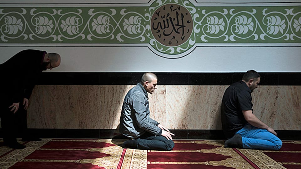 Mit der Charta wollen die albanischen Muslime der Mehrheitsgesellschaft die Angst nehmen. Bild: Gebet in der Moschee im Haus der Religionen.