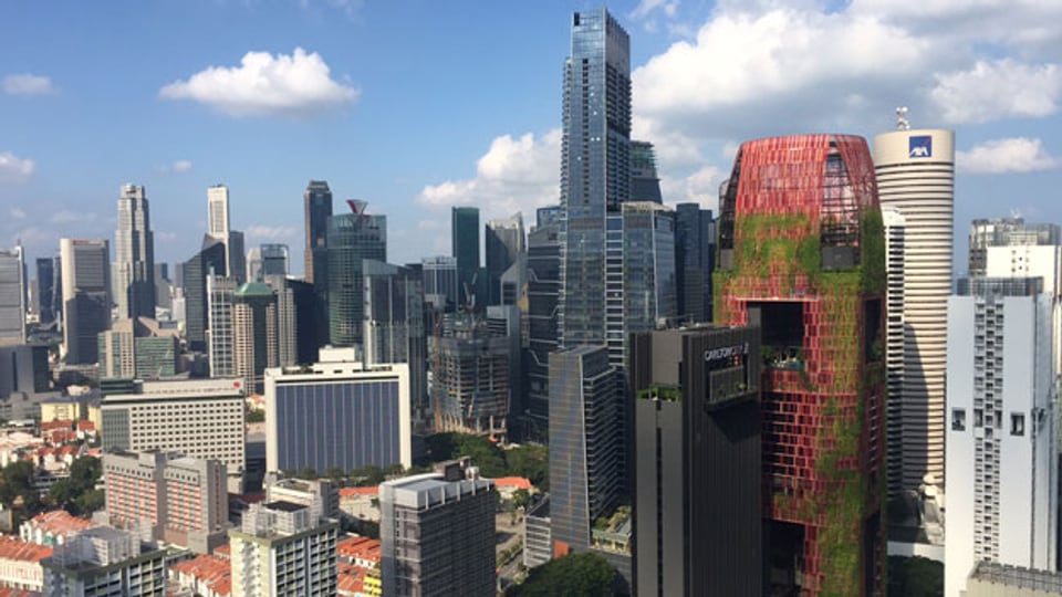 9500 Singapurianer wohnen in sieben, modernen Wohntürmen. Diese sind auf dem Dach durch eine Brücke verbunden, die als Jogging-Strecke und Freizeitpark dient.