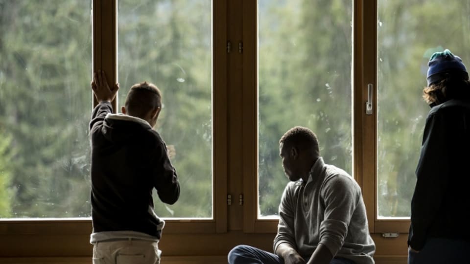 Männer schauen aus dem Fenster im Bundesasylzentrum Glaubenberg.