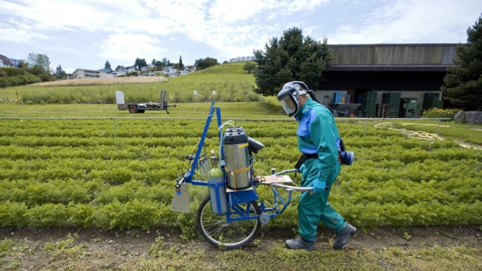 Weniger Pestizide auf Schweizer Feldern - das will der Aktionsplan des Bundesrates.