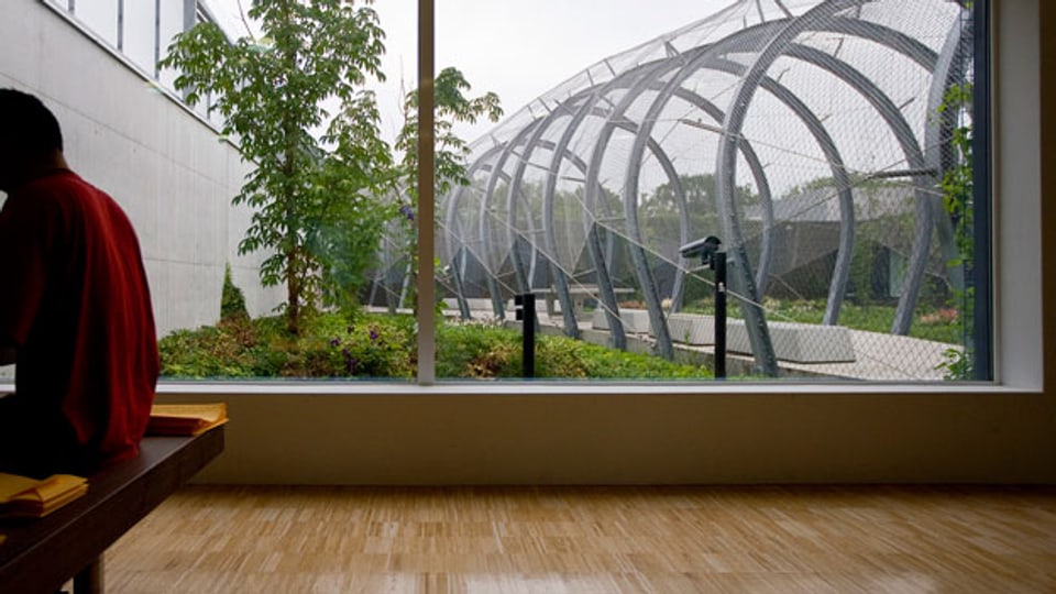 Die Grenzen der Therapie von pädophilen Straftätern Echo der Zeit SRF