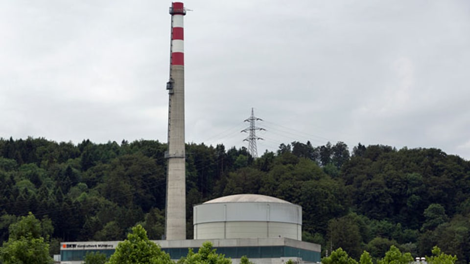 In der Schweiz wird das Kernkraftwerk Mühleberg als erste der fünf Anlagen 2019 ausser Betrieb gehen. Bis 2030 sollen auf dem ehemaligen Kernkraftwerksgelände wieder Kühe weiden.