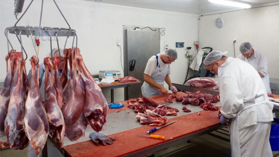 Hoch über dem Vierwaltstättersee, unter dem Gipfel des Bürgenstock liegt der Betrieb Holzen Fleisch. Es ist Wildsaison. An grossen Metallhaken hängen gehäutete und ausgeweidete Dammhirsche. Angestellte stehen um einen grossen Tisch und zerlegen das Fleisch mit flinken Schnitten. Eine wichtige Rolle spielt die Art und Weise, wie die Tiere zerlegt werden.