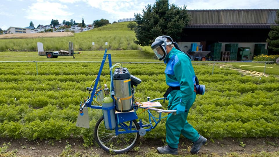 Bauern, die mit Pestiziden hantieren, sind stärker von Parkinson, Prostata-, Haut-, Hoden- und weiteren Krebsarten betroffen.