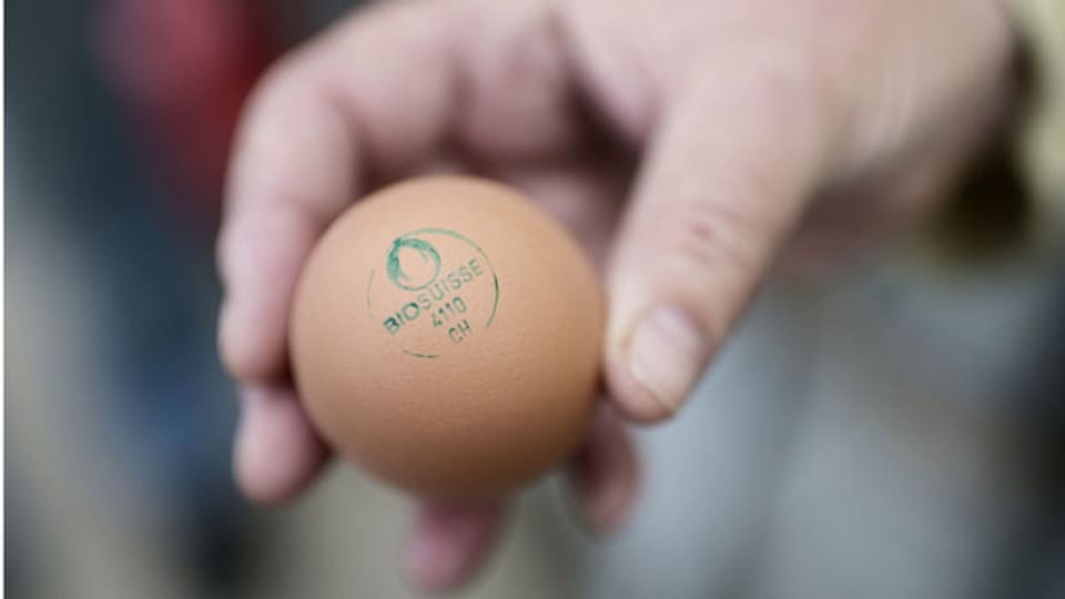 Bio-Eier für Ostern.