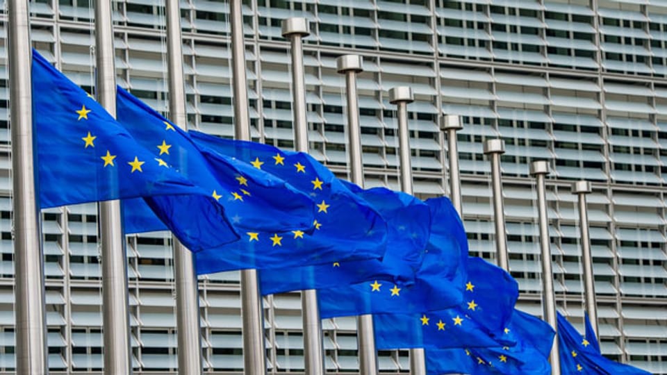 Die Fahnen der EU vor dem EU-Gebäude in Brüssel.