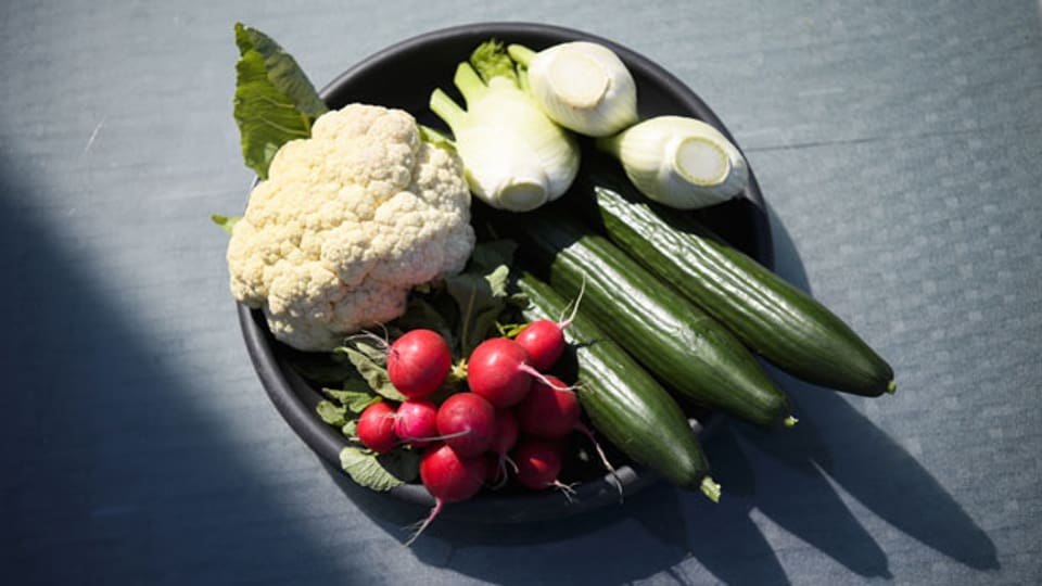 Eine Gemüseplatte: Gesünder Essen ohne Pestizide.