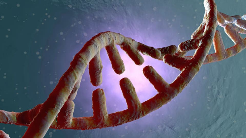 3D gerenderte Darstellung einer DNA-Doppelhelix.