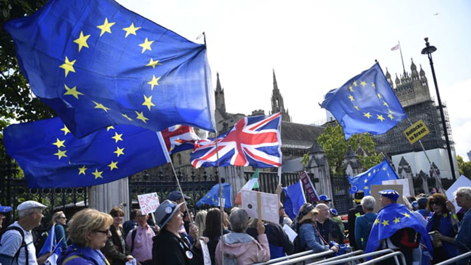 Brexit-Gegner demonstrieren vor dem Parlament in London/GB.