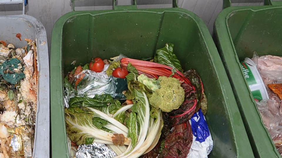 Eine Mülltonne gefüllt mit Lebensmittelabfällen.