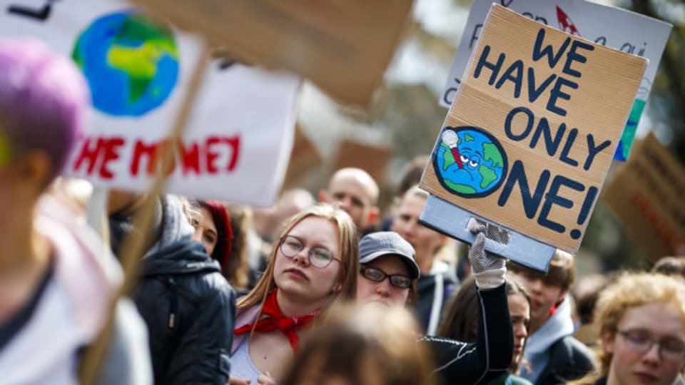 Klimaschutz: Was nützen die Demos dem Klima?