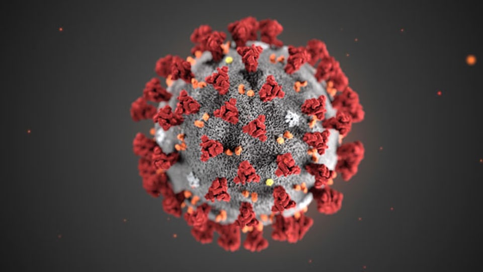 Eine Zeichnung des Corona-Virus.