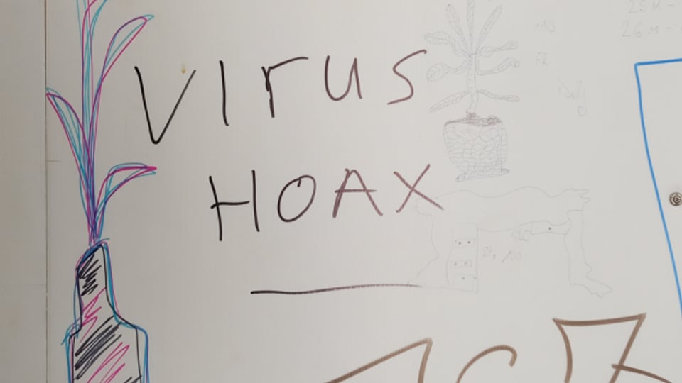 Das Virus - eine Falschmeldung. Wandnotizen, wie sie derzeit häufig zu sehen sind, hier aufgenommen in Zürich.