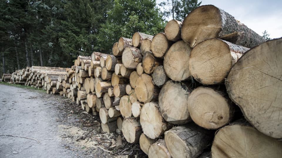 Holz von einem Sturmschadengebiet in der Gemeinde Escholzmatt-Marbach im Kanton Luzern. Archivbild von 2018.