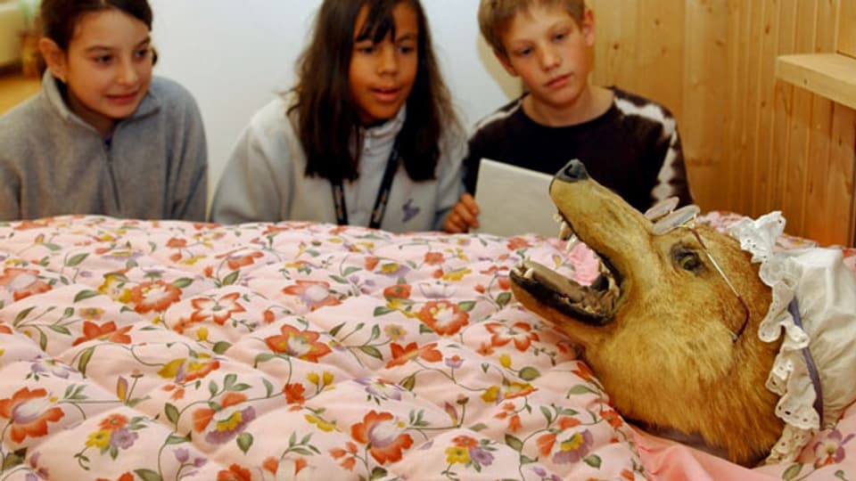 Kinder betrachten in der Ausstellung «Maerchentiere» im Naturmuseum St. Gallen die Figur des als Grossmutter verkleideten Wolfes aus dem Märchen «Rotkäppchen». Archivbild von 2003.