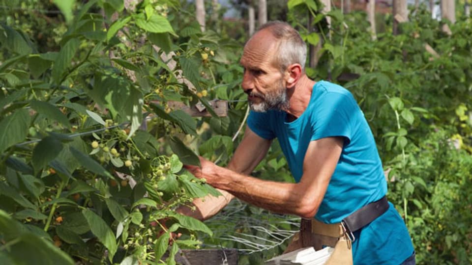 Der Obstbauer Jürg Raths unterstützt die beiden Pestizid-Initiativen.