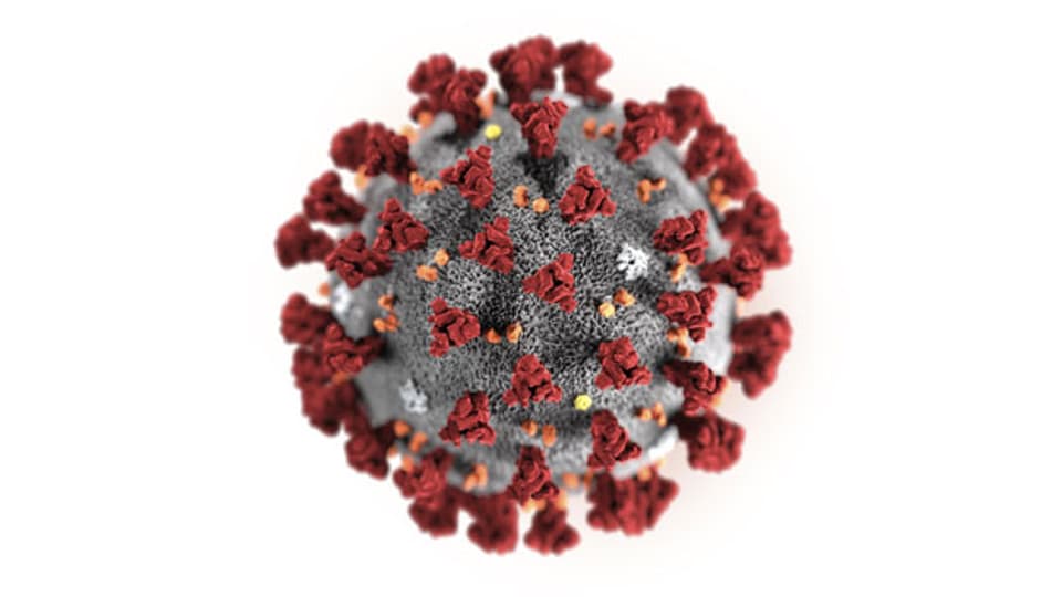 Illustration des Coronavirus.