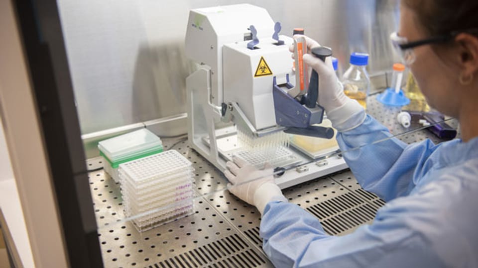 Eine Laborantin bei der Arbeit im Labor des Biopharmaunternehmens Polyphor, welches sich auf Antibiotika spezialisiert hat.