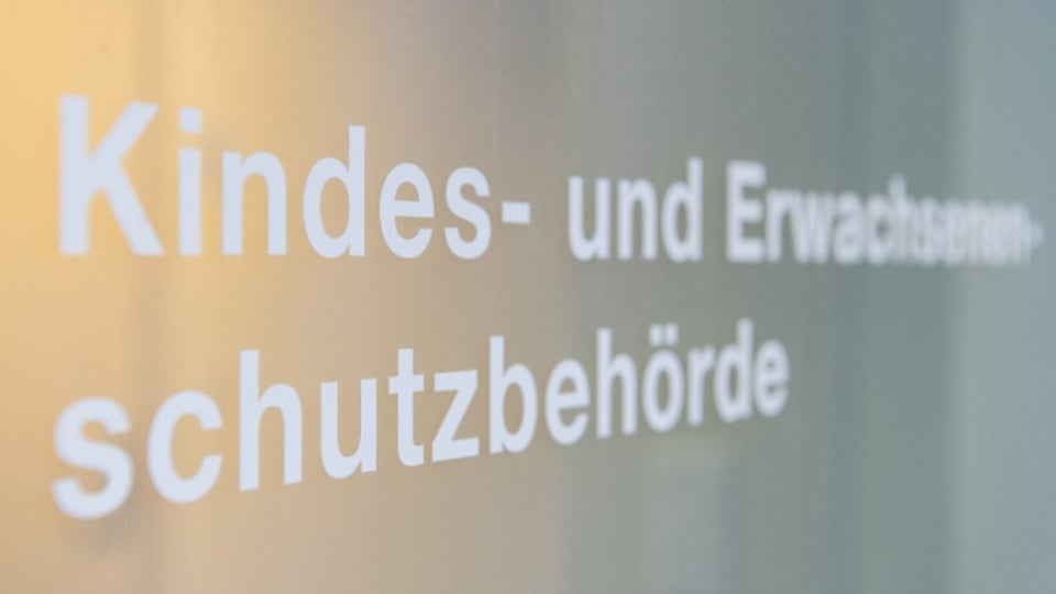 Zürich: wie gut erfüllt die KESB ihren Auftrag?