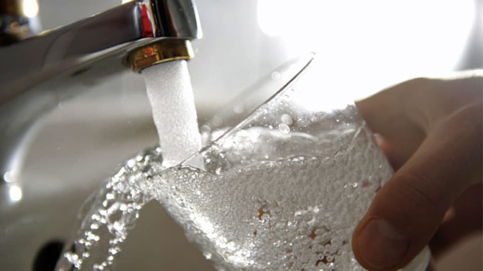 Bio Suisse sagt nein zur Trinkwasser-Initiative.
